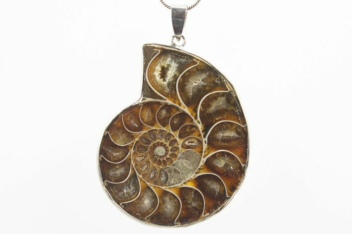 Fossil Ammonite Pendant - Million Years Old #306481